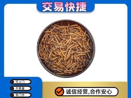 凉山回收散虫草