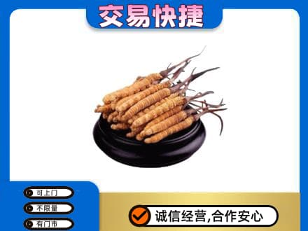 凉山礼品回收散虫草.jpg